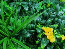 Load image into Gallery viewer, Yellow Rose Vertical Garden / Green Wall UV Resistant 100cm x 100cm