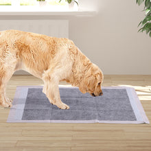 Load image into Gallery viewer, 400 Pcs 60x60cm Charcoal Ultra Absorbent Pet Toilet Training Pads