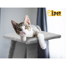 Load image into Gallery viewer, 82cm pet Scratching Post - Wood Slide Grey