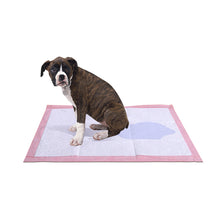 Load image into Gallery viewer, 400Pcs 60cm x 60cm Absorbent Cushion Lavender Scent Pet Training Pads