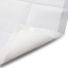 Load image into Gallery viewer, 100Pcs Meadow Scent Pet Training Pads With Adhesive Tape