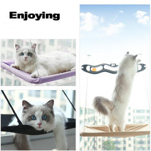 Load image into Gallery viewer, Cute Cat Hammock Hanging Beds Bearing 20kg