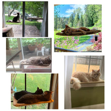 Load image into Gallery viewer, Cute Cat Hammock Hanging Beds Bearing 20kg