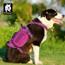 Load image into Gallery viewer, Whinhyepet Military Harness Purple L