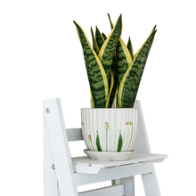 Load image into Gallery viewer, 5 Tier Wooden Ladder Shelf Stand Storage Book Shelves Shelving Display Rack