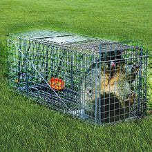 Load image into Gallery viewer, Trap Humane Possum Cage Live Animal Safe Catch Rabbit Cat Hare Fox Bird