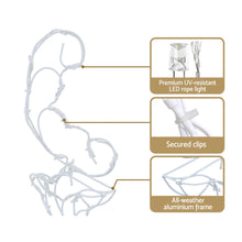 Load image into Gallery viewer, Christmas Waterproof Outdoor Motif Lights LED Rope Reindeer