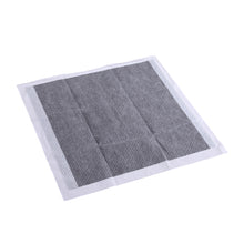 Load image into Gallery viewer, 200 Pcs 60x60cm Ultra Absorbent Charcoal Pet Toilet Training Pads