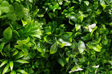 Load image into Gallery viewer, White Oasis Vertical Garden / Green Wall UV Resistant 1m x 1m
