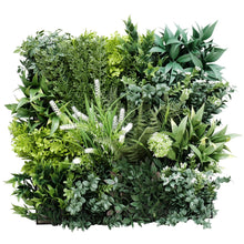 Load image into Gallery viewer, Garden of Eden Bespoke Vertical Garden / Green Wall UV Resistant 1m x 1m
