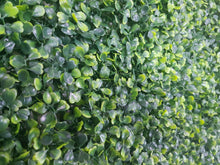 Load image into Gallery viewer, Mixed Boxwood Hedge Panels / Screens UV Resistant 1m x 1m
