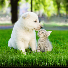 Load image into Gallery viewer, Primeturf Artificial Grass 10mm 2mx10m 20sqm Synthetic Fake Turf Plants Plastic Lawn Olive
