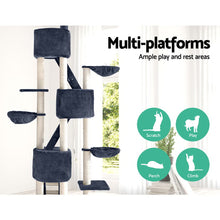 Load image into Gallery viewer, 244cm Trees Scratching Post - Fir Wood, Dark Grey
