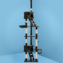 Load image into Gallery viewer, 260cm Trees Scratching Post - Fir Wood, Dark Grey and White
