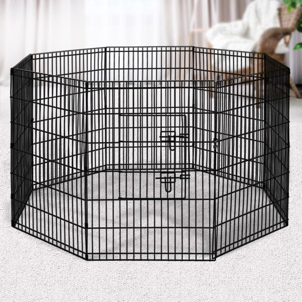 i.Pet 2x36