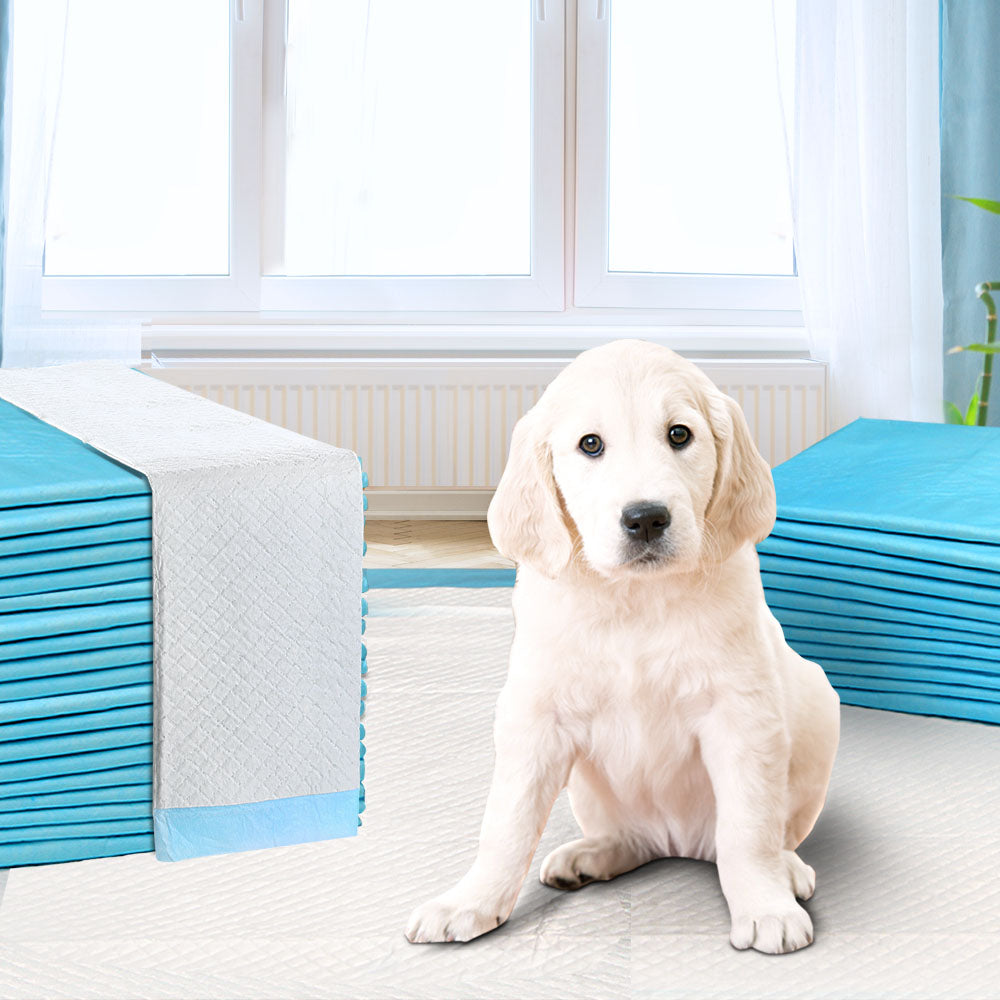 400pcs Super Absorbent Indoor Disposable Pet Training Pads - 60 x 60cm