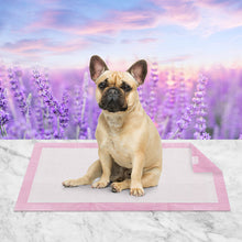 Load image into Gallery viewer, 100Pcs Absorbent Cushion Lavender Scent Pet Training Pads
