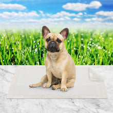 Load image into Gallery viewer, 50pcs 60cm x 60cm Meadow Scent Cushion Pet Training Pads
