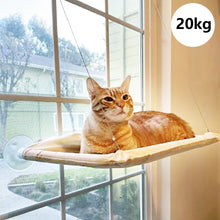 Load image into Gallery viewer, Cute Cat Hammock Hanging Beds Bearing 20kg
