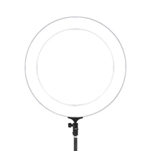 Load image into Gallery viewer, Embellir Ring Light 19" LED 6500K 5800LM Dimmable Diva With Stand Silver
