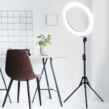Load image into Gallery viewer, Embellir Ring Light 19" LED 6500K 5800LM Dimmable Diva With Stand Silver
