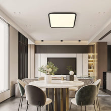 Load image into Gallery viewer, Dimmable LED Ceiling Light, 40W Anti Blue
