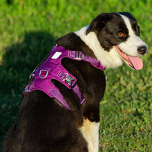 Load image into Gallery viewer, Whinhyepet Harness Purple XL
