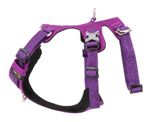 Load image into Gallery viewer, Whinhyepet Harness Purple XL
