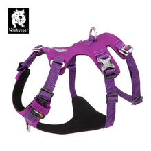 Load image into Gallery viewer, Whinhyepet Harness Purple XL

