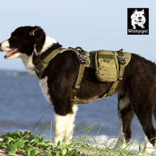 Load image into Gallery viewer, Whinhyepet Military Harness Army Green L
