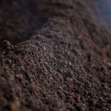 Load image into Gallery viewer, 25L Living Soil - Water Only Base Plant Grow Nutrient Substrate - Easy As Organics
