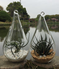 Load image into Gallery viewer, 10 Pack of Hanging Clear Glass Tealight Candle Holder Tear Drop Pear Shape - 12cm High - Terrarium Plant Mini Garden Holder Decor

