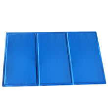 Load image into Gallery viewer, 90x60 Pet Cooling Mat Gel Mats Bed Cool Pad Puppy Cat Non-Toxic Beds Summer Pads
