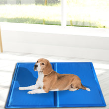 Load image into Gallery viewer, 50x40 Pet Cooling Mat Gel Mats Bed Cool Pad Puppy Cat Non-Toxic Beds Summer Pads
